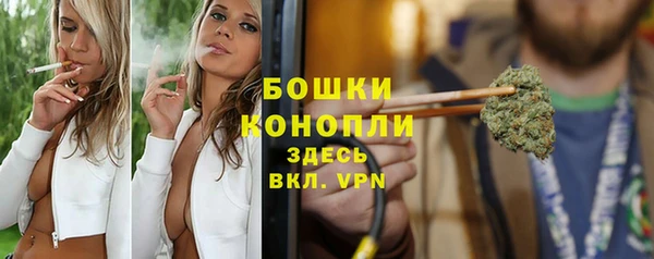 индика Переславль-Залесский