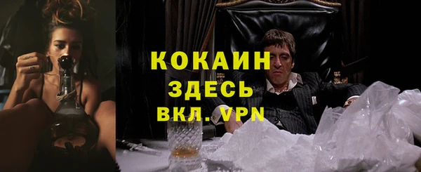 шишки Покров