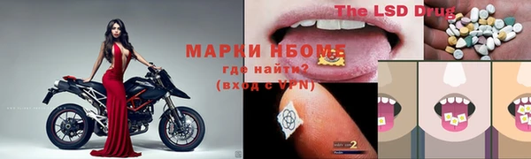 шишки Покров