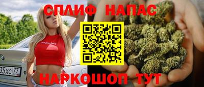 крисы Беслан