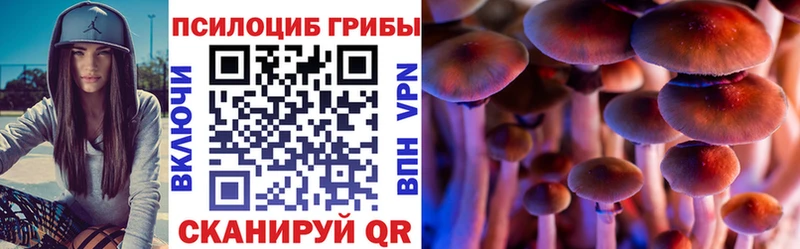 Псилоцибиновые грибы Psilocybe  Лыткарино 
