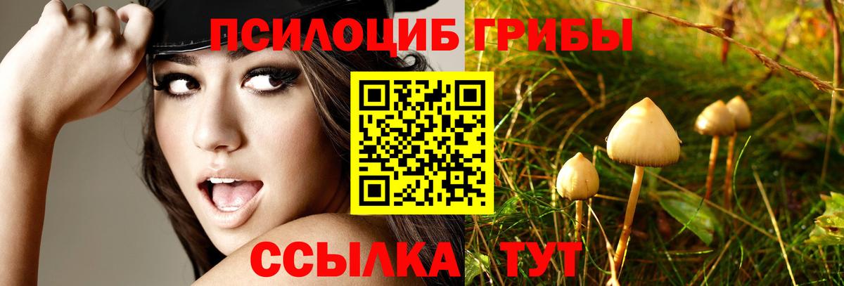 COCAIN  A PVP СК кристаллы  МЕТ  ГАШИШ  Купить  Лыткарино  МДМА  Меф МЯУ МЯУ  