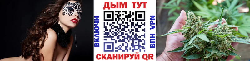 МАРИХУАНА сатива магазин продажи Лыткарино